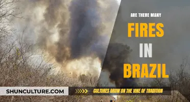Brazil's Burning Crisis: Understanding the Frequency of Wildfires