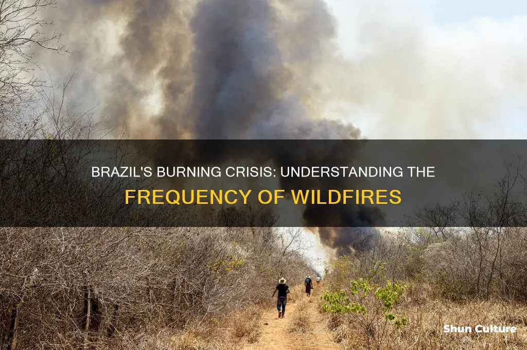 are there many fires in brazil