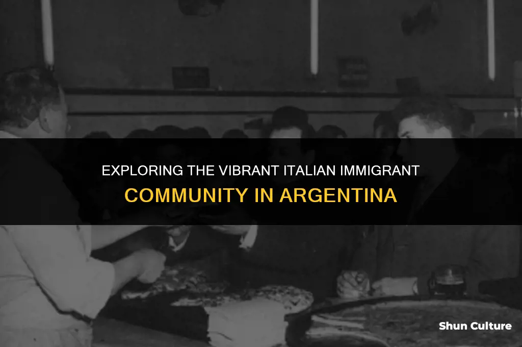 are there many italian immigrants in argentina