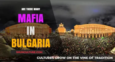 Exploring the Shadows: Mafia Presence in Bulgaria Unveiled