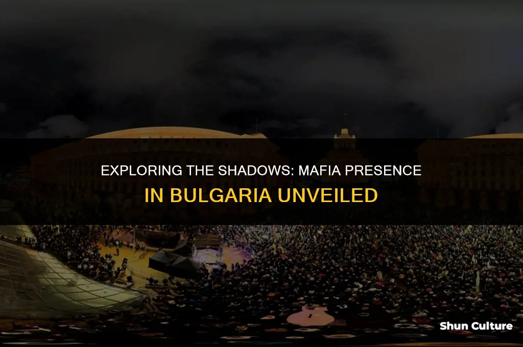 are there many mafia in bulgaria