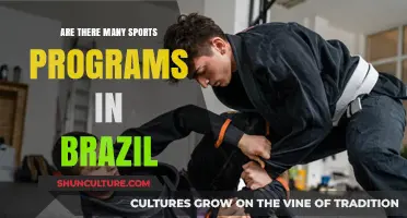 Exploring Brazil's Diverse Sports Programs: A Comprehensive Overview
