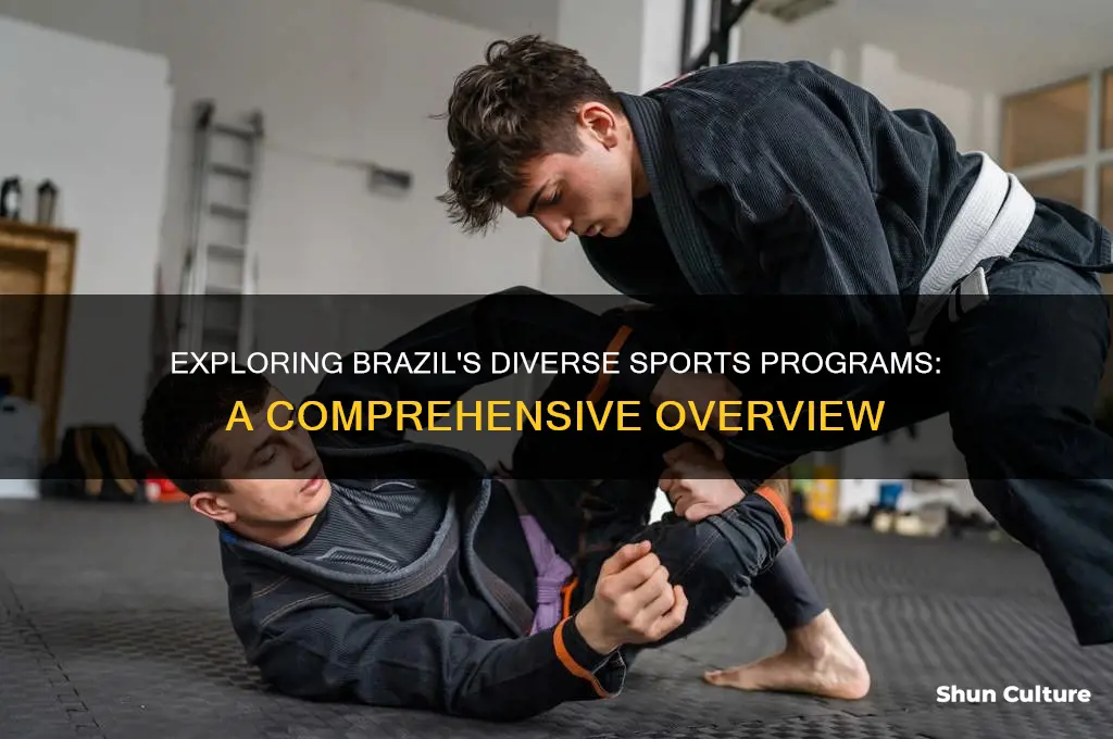 are there many sports programs in brazil