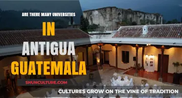 Exploring Antigua Guatemala: How Many Universities Call This City Home?