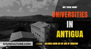 Exploring Antigua's Higher Education: How Many Universities Exist on the Island?