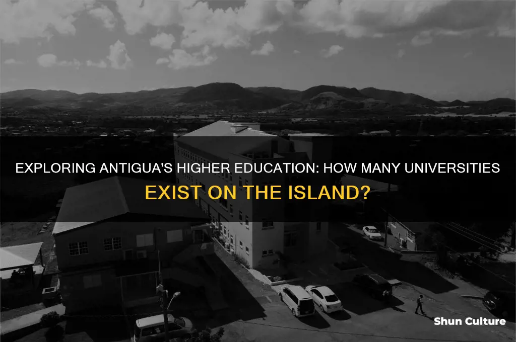 are there many universities in antigua