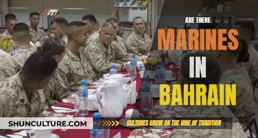 US Marines in Bahrain: A Permanent Presence?