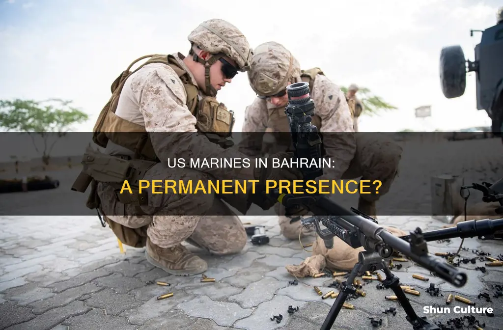 are there marines in bahrain