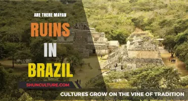 Exploring Mayan Ruins in Brazil: Fact or Fiction?