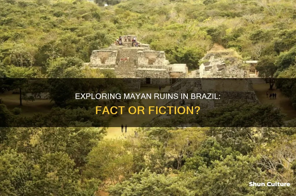 are there mayan ruins in brazil