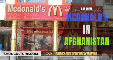 The Golden Arches in Afghanistan: A Tasty Tale of Globalization and Culture