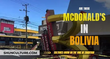 McDonald's in Bolivia: A Tasty Mystery Solved