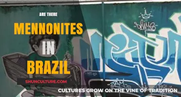 Exploring Mennonite Communities in Brazil: A Cultural and Historical Overview