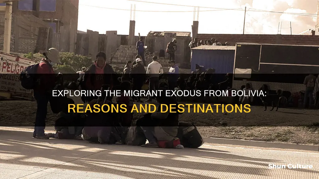 are there migrants coming from bolivia