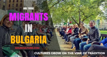 Exploring Migration Trends: A Closer Look at Bulgaria's Diverse Population