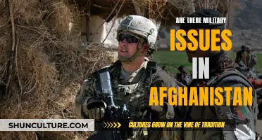 The Enduring Military Challenges in Afghanistan