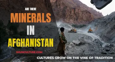 The Mineral Wealth of Afghanistan: A Geological Perspective