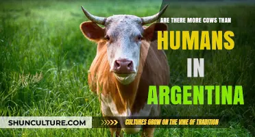 Exploring Argentina's Unique Population: Cows vs. Humans