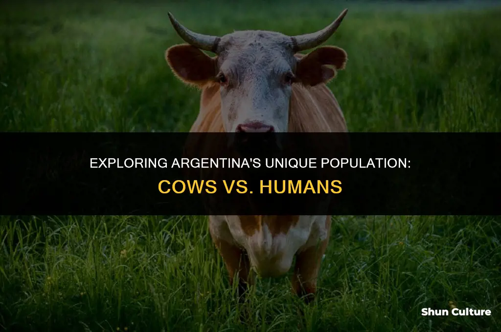 are there more cows than humans in argentina
