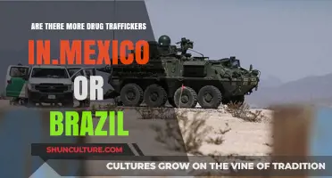 Drug Trafficking Comparison: Mexico vs. Brazil - Which Has More?
