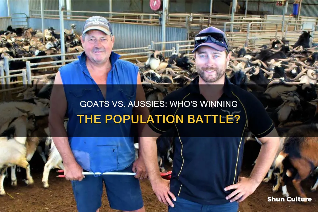 are there more goats than people in australia