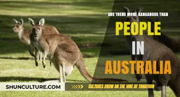 Exploring Australia's Kangaroo Population: Surpassing Humans?