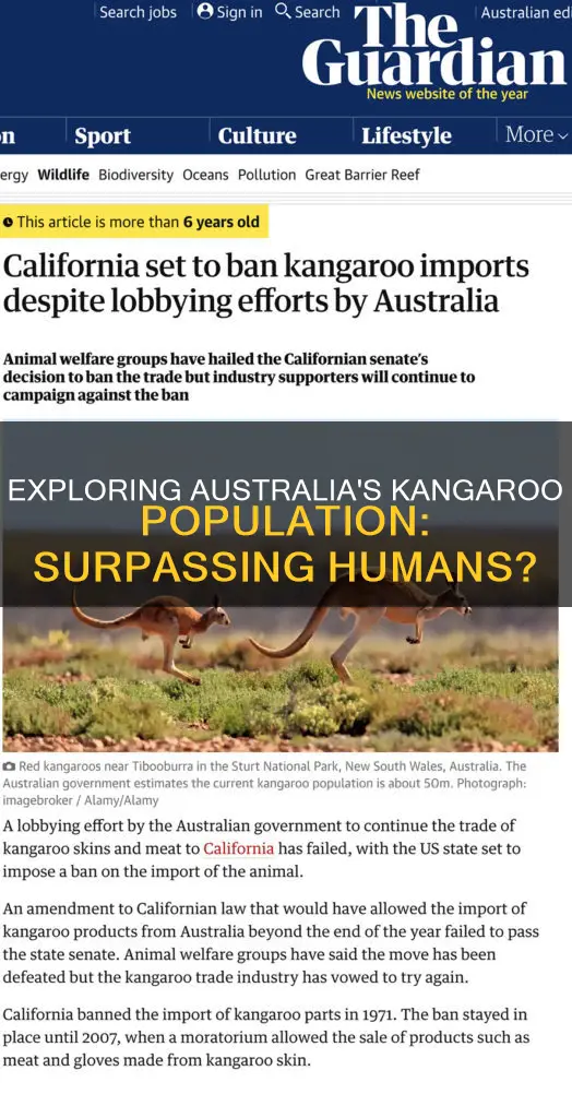 are there more kangaroos than people in australia