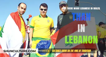 Lebanese Diaspora in Brazil: Surpassing Lebanon's Population?