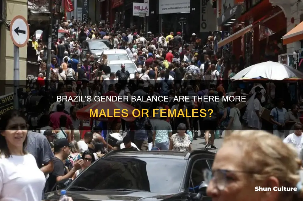 are there more males or females in brazil
