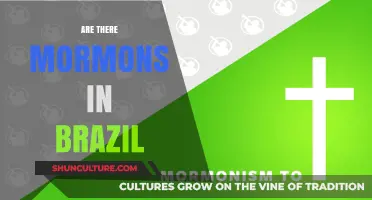 Exploring Mormon Presence and Growth in Brazil's Diverse Religious Landscape