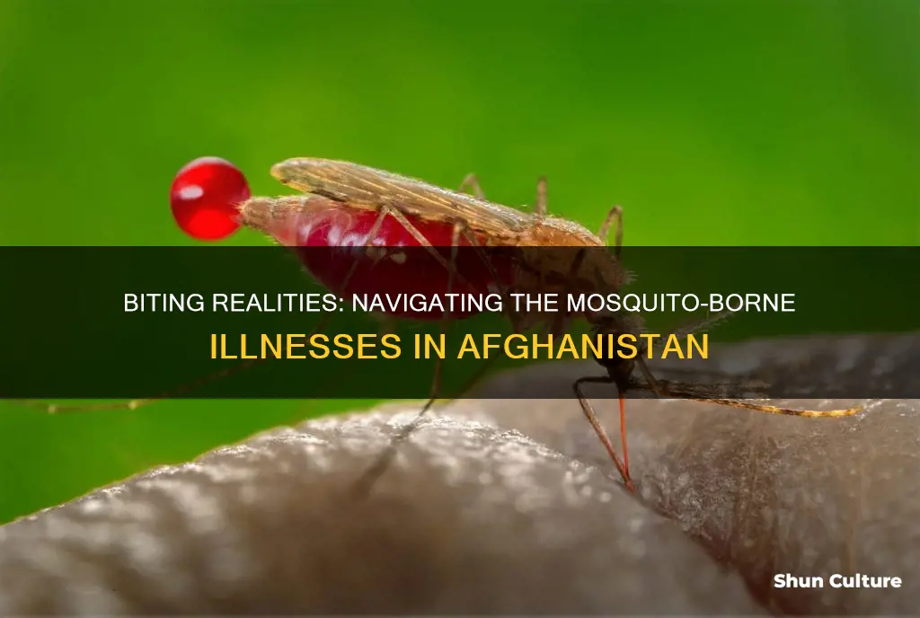 are there mosquitoes in afghanistan