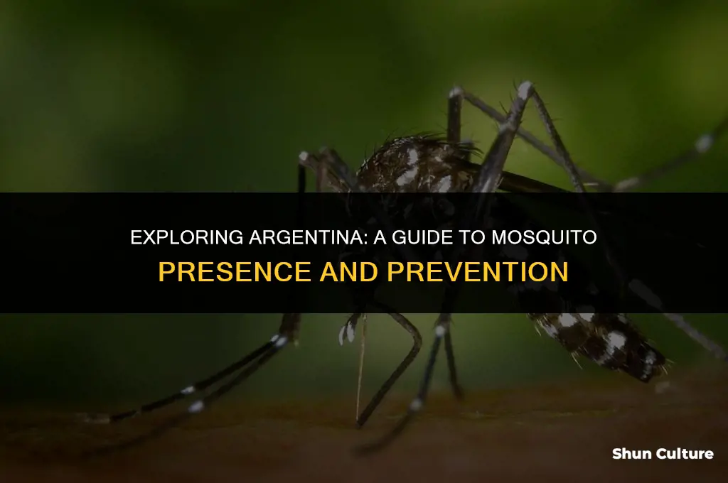 are there mosquitoes in argentina