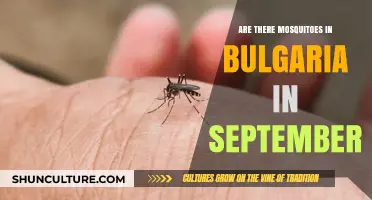 September in Bulgaria: A Mosquito-Free Paradise or Not?