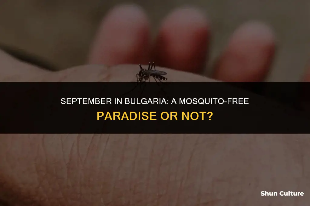 are there mosquitoes in bulgaria in September