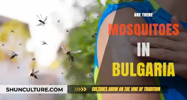 Exploring Bulgaria: A Guide to Mosquito Presence and Prevention