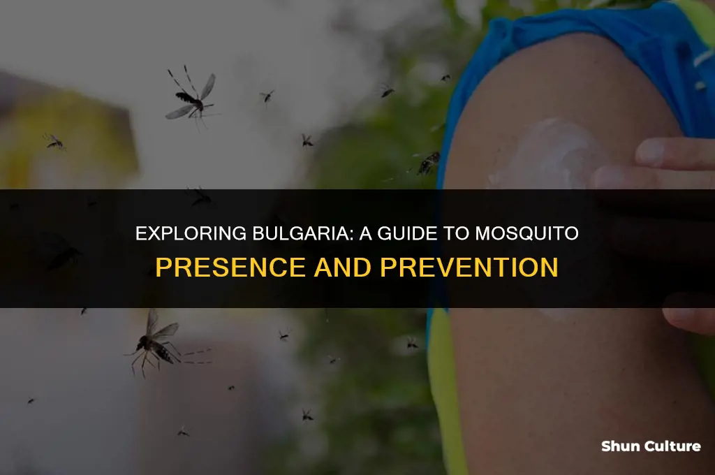 are there mosquitoes in bulgaria