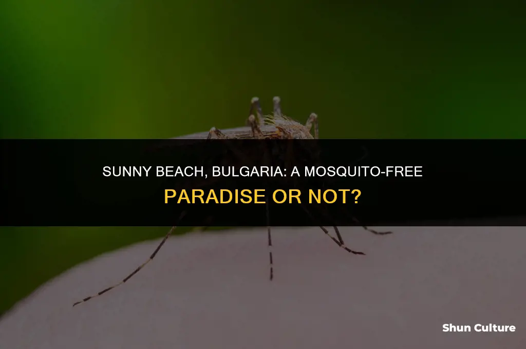 are there mosquitoes in sunny beach bulgaria