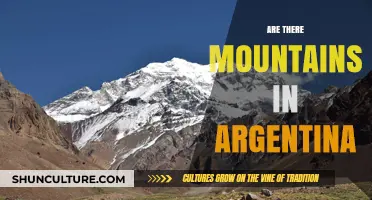 Exploring Argentina's Majestic Mountain Ranges: A Traveler's Guide