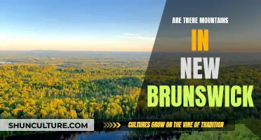 New Brunswick's Mountainous Terrain