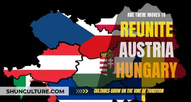 Austria-Hungary: Reunification Rumblings and Political Possibilities