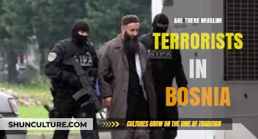 Bosnia's Complex Reality: Debunking Myths About Muslim Terrorism