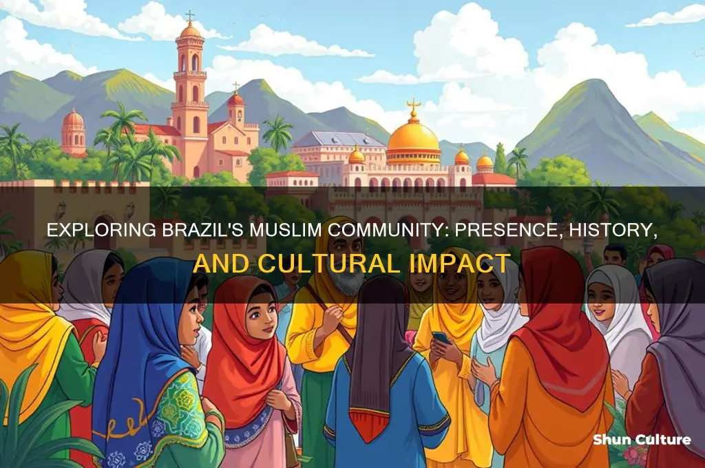 are there muslims brazil