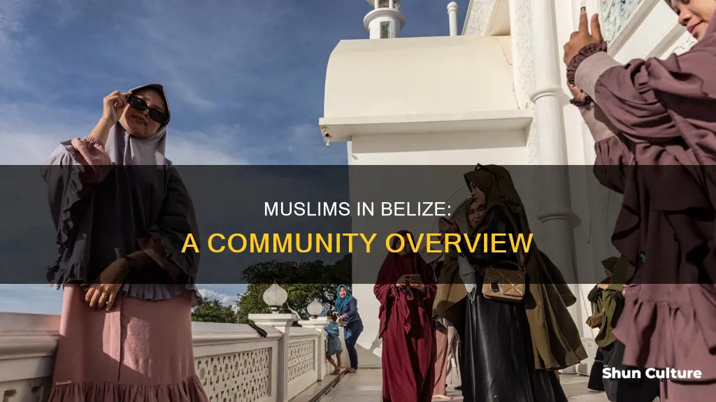 are there muslims in belize