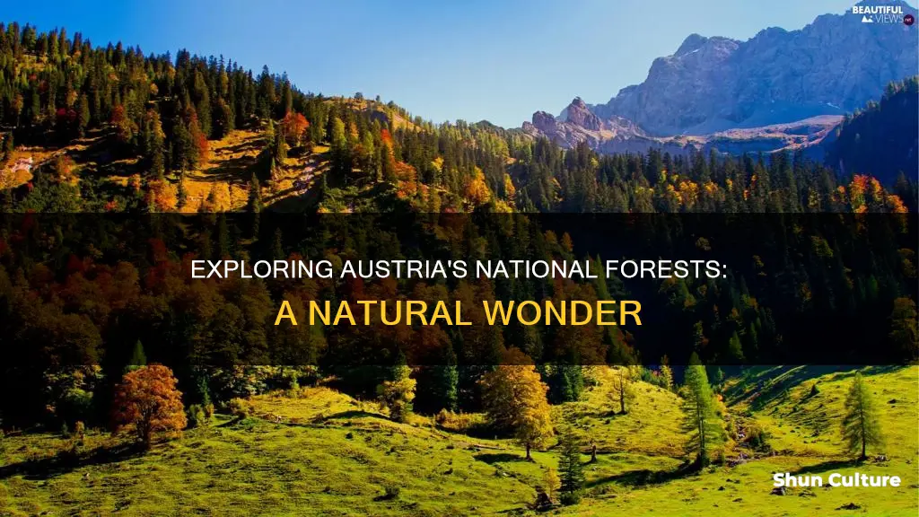 are there national forest in austria