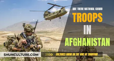 The National Guard's Enduring Presence in Afghanistan: A Comprehensive Overview