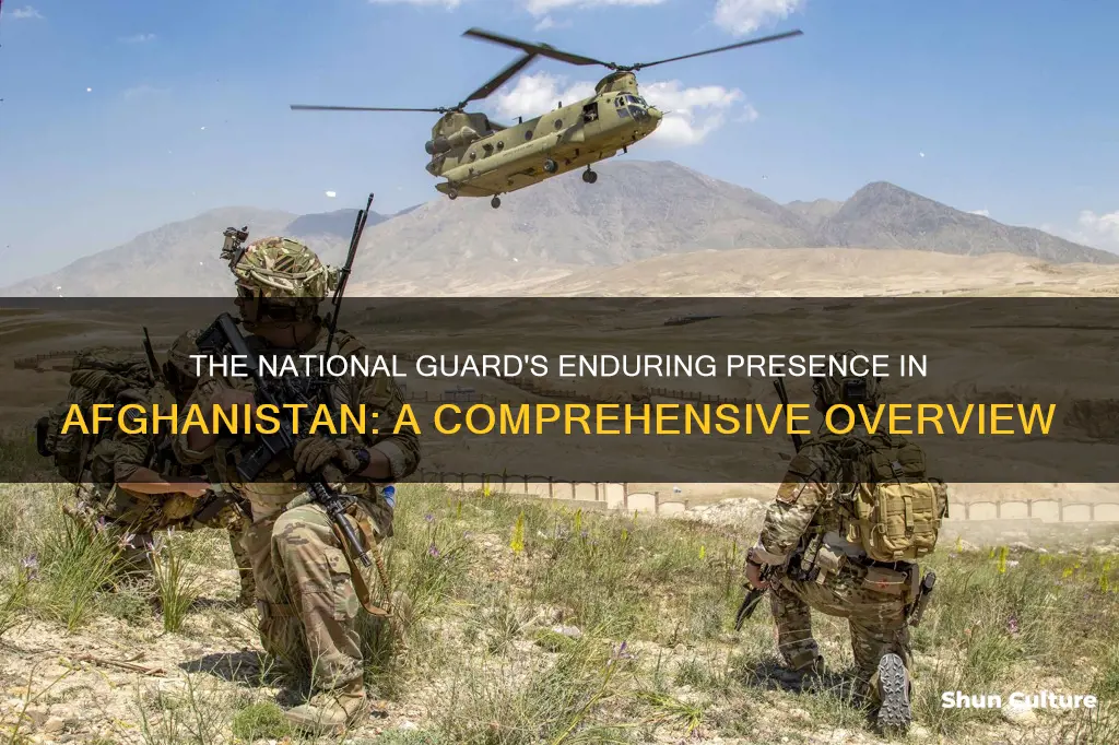 are there national guard troops in afghanistan