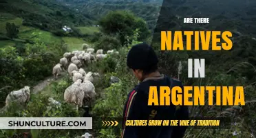 Exploring Argentina's Indigenous Roots: A Journey Through Time