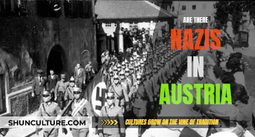 Austria's Nazi Problem: A Historical Overview