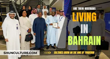 Nigerians in Bahrain: A Vibrant Community Abroad