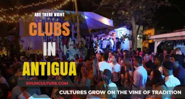 Exploring Antigua's Nightlife: Are There Nightclubs on the Island?